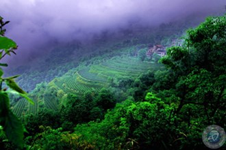 石門羅坪風光