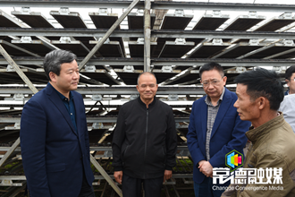 曹立軍赴鼎城區調研 全力做好春耕備耕和鄉村產業發展