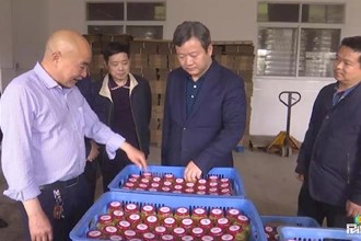 曹立軍赴漢壽縣調研扶貧產業發展：為決戰脫貧攻堅促進農民增收創造條件