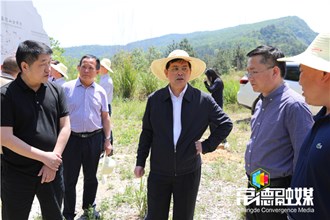 市領導赴桃源縣督導脫貧攻堅工作：發動群眾全面參與脫貧攻堅 用產業帶動群眾致富奔小康