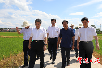 隋忠誠來常調研農業工作時指出 確保農業增效、糧食增產、農民增收