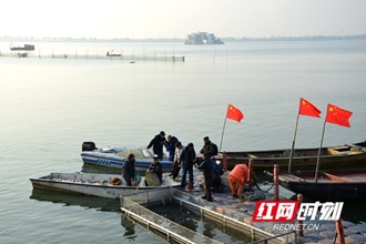 柳葉湖年魚集捕魚現場