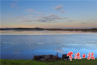 發現常德之美【組圖】