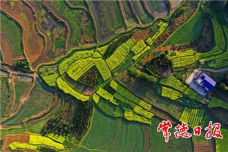 發現常德之美【組圖】