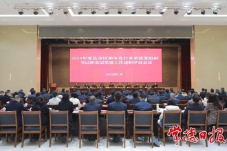 羅毅君：抓牢抓實各項重點任務 奮力開創全市基層黨建工作新局面
