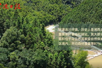 【鄉(xiāng)村振興沅澧行】你好，網(wǎng)紅村
