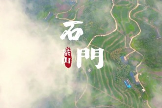 【常來常德 常“游”所得】石門，高山云海覓茶香