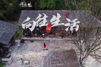 【常來常德 常“游”所得】白麟洲，向往的生活