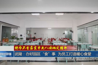 武陵：辦好園區“食”事 為員工打造暖心食堂