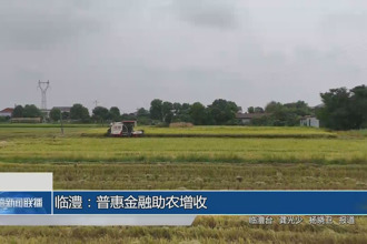 臨澧：普惠金融助農增收