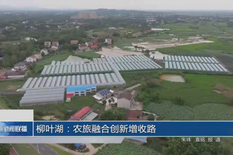 柳葉湖：農旅融合創新增收路