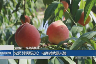 黨員引領(lǐng)踐初心 電商鋪就振興路