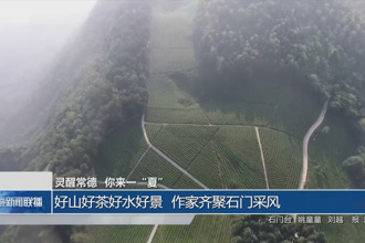 好山好茶好水好景 作家齊聚石門采風