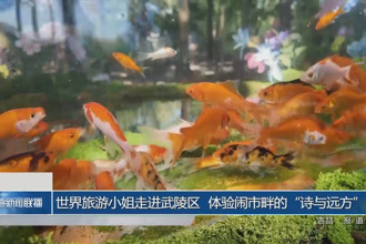 世界旅游小姐走進(jìn)武陵區(qū) 體驗(yàn)鬧市畔的“詩與遠(yuǎn)方”