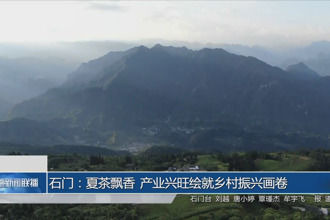 石門：夏茶飄香 產(chǎn)業(yè)興旺繪就鄉(xiāng)村振興畫卷